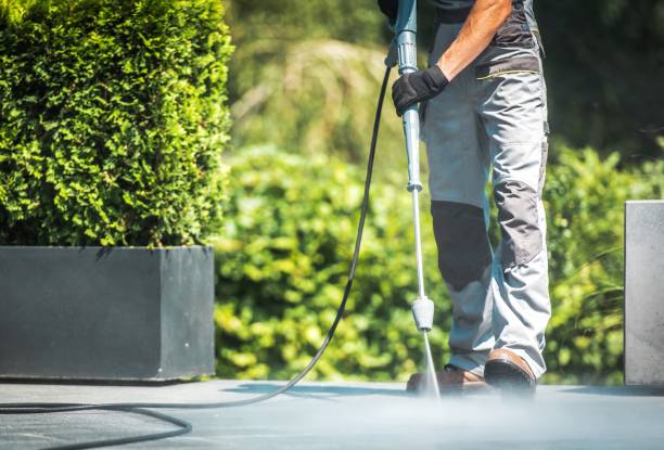 Animal Enclosure Cleaning in South Bradenton, FL